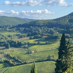 20230925_092807_2121D2