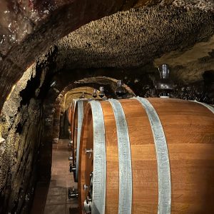 20230925_220811_728686