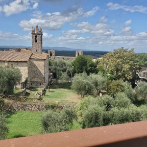 20231016_133523_191344