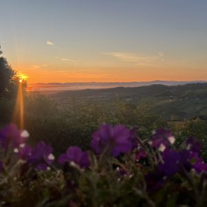 4503C3E4-F747-48EF-A7D7-E7BD5BE6EF35_1_105_c