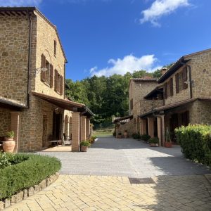 613AB563-BBB6-4F9E-8FD5-35D884635C35_1_105_c