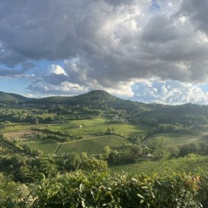 65F06CB5-71E1-4803-882B-250CA737A87F_1_105_c