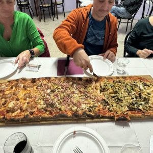 95451CF9-19A4-42F7-82FB-08A496A22656_1_105_c