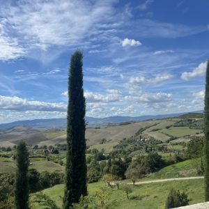 B2B3B0EF-8914-412B-BB15-842DE9EB8963_1_105_c